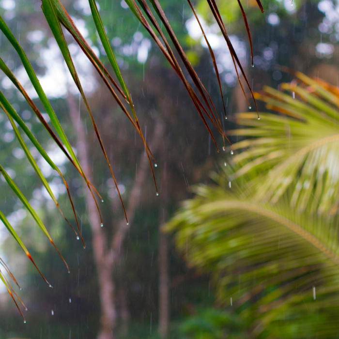 playa del carmen weather february